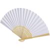 Carmen hand fan