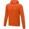 Charon men’s hoodie