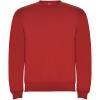 Clasica kids crewneck sweater