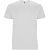 Stafford short sleeve kids t-shirt