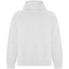 Vinson organic cotton unisex hoodie