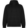 Vinson organic cotton unisex hoodie