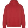 Vinson organic cotton unisex hoodie