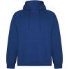 Vinson organic cotton unisex hoodie