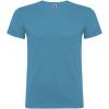 Beagle short sleeve men's t-shirt