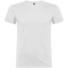 Beagle short sleeve men's t-shirt