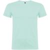 Beagle short sleeve men's t-shirt