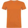 Beagle short sleeve men's t-shirt