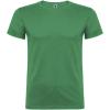 Beagle short sleeve men's t-shirt