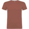 Beagle short sleeve men's t-shirt