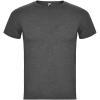 Fox short sleeve men's t-shirt