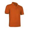 Top Poloshirt Hawk